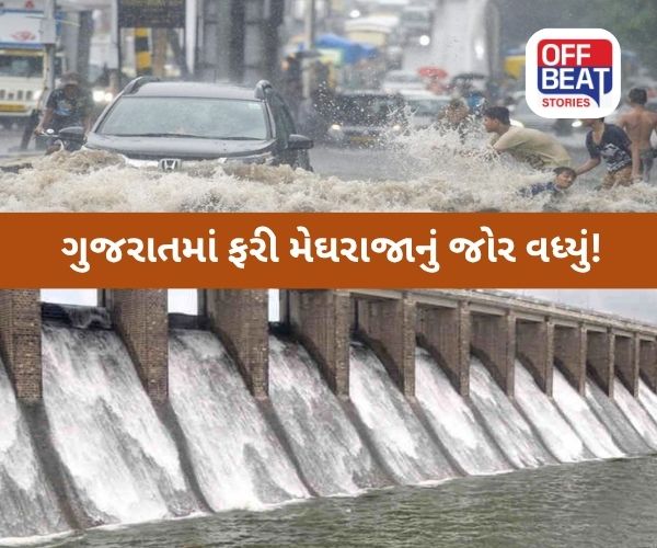 ગુજરાતના 132 તાલુકાઓમાં મેઘ મહેર