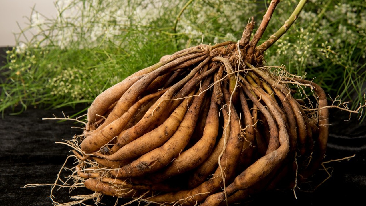 ખર્ચ ઓછો, આવક વધુ