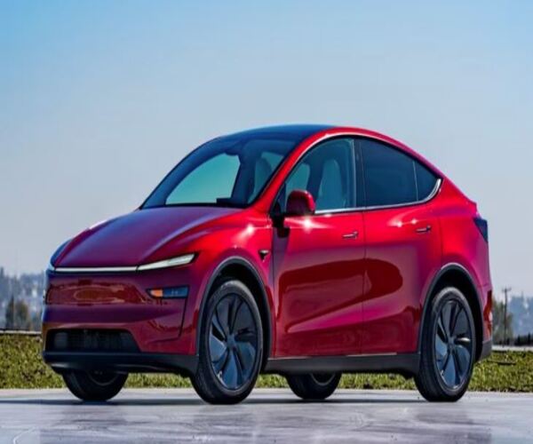 વેચાણ ઘટતા ચિંતામાં  MUSK