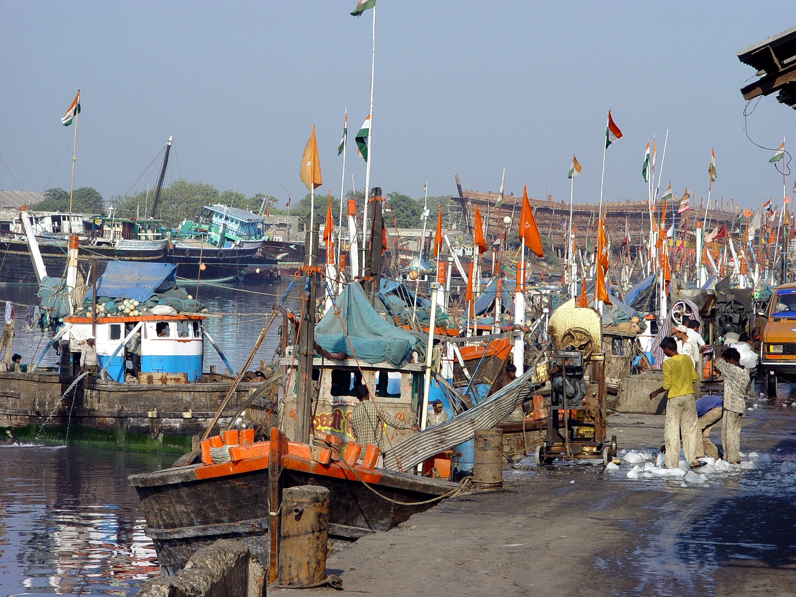 દરિયાઈ માછલીના ઉત્પાદનમાં ગુજરાત અવ્વલ