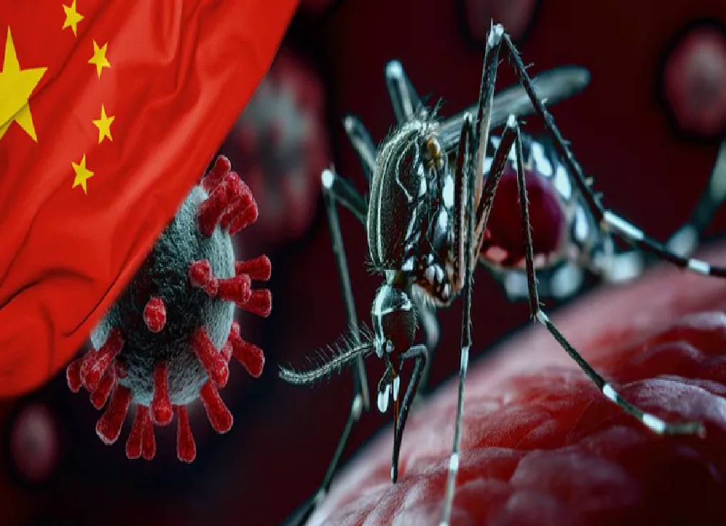 કોરોના બાદ ચીનમાં ચિકનગુનિયાથી મચી 'તબાહી'