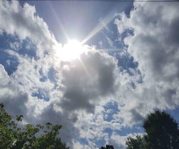 ક્યાં ગયો વરસાદ?