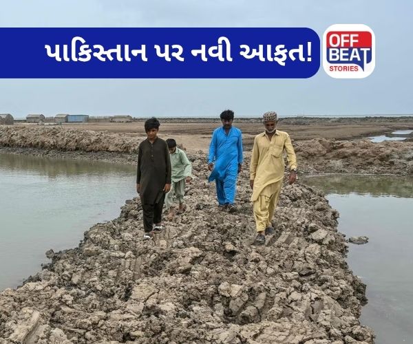 સિંધુ ડેલ્ટા ડૂબી ગયું, 80% પાણી વહી ગયું