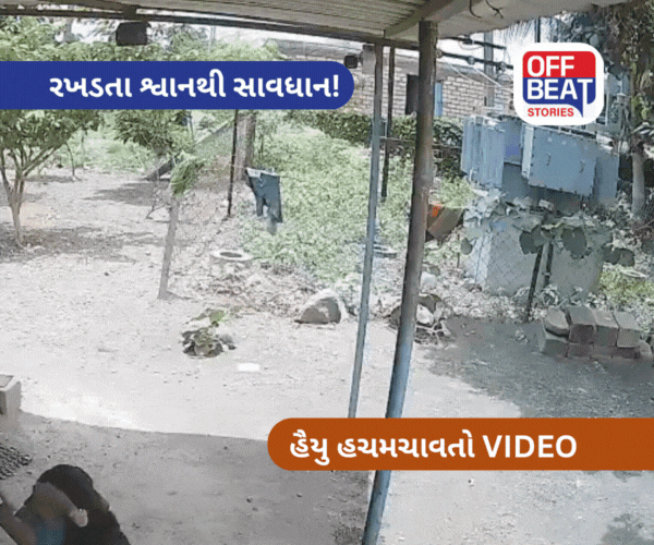 Amreli માં માસુમ બાળકને શ્વાન ઉઠાવી લઈ ગયુ..!