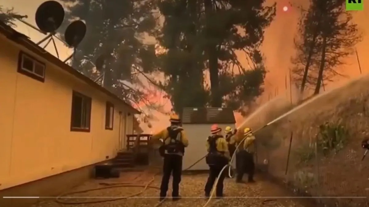 કેલિફોર્નિયાના જંગલોમાં ફરી ભયાનક આગ