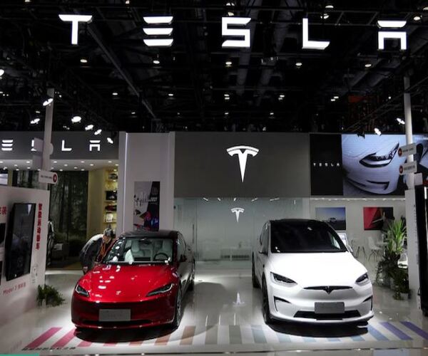 દિલ્હીમાં TESLAના કંકુ પગલાં