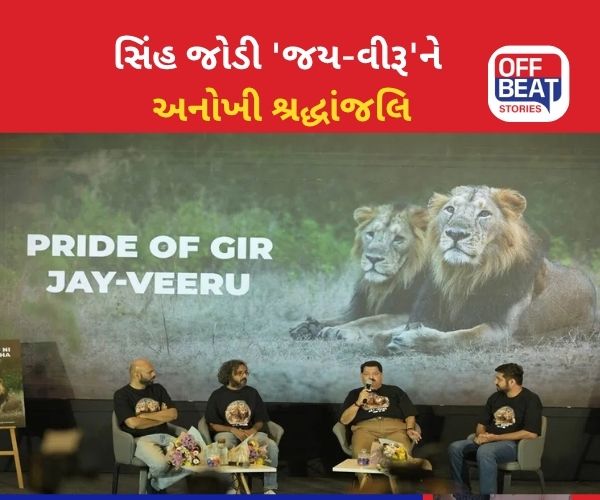 ગીરના સિંહ જોડી જય-વીરૂને 'સાચી શ્રદ્ધાંજલિ'