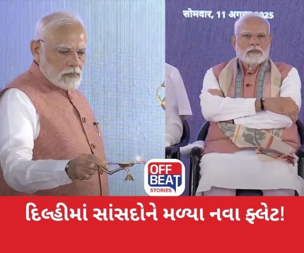 દિલ્હીમાં સાંસદોને મળ્યા નવા ફ્લેટ!, PMએ કર્યું ઉદ્ઘાટન