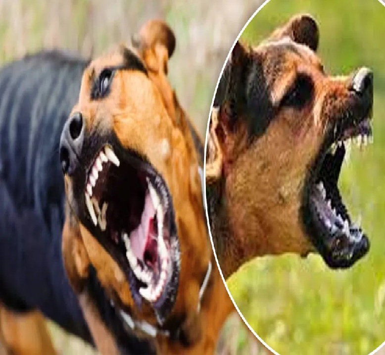 સામાન્ય જનતા માટે આ આંકડા છે ડરામણા!