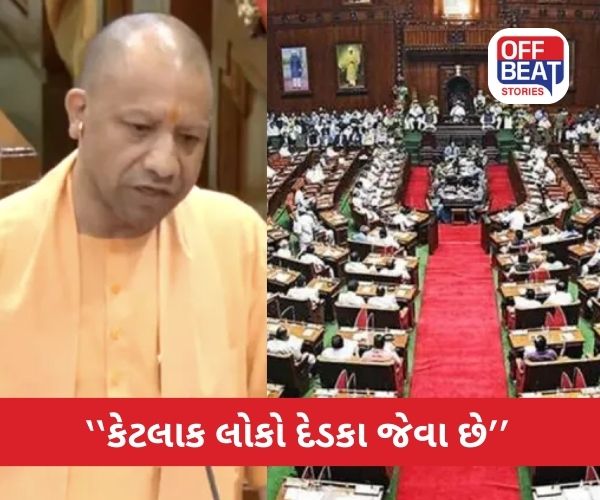 ''સપા-બસપાની વિચારસરણી કૂવામાં દેડકા જેવી છે''