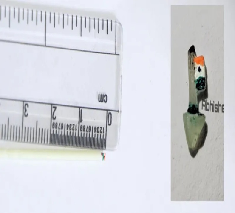 બંગાળના 23 વર્ષના યુવકની અનોખી દેશભક્તિ