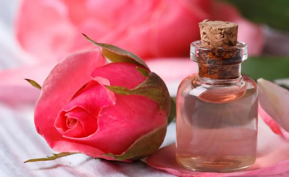 Health Tips- શું તમે ક્યારેય ગુલાબની પાંખડીવાળું પાણી પીધું છે?