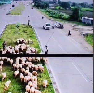 Bhavnagar: એમ્બ્યુલન્સે કટ મારવા જતા કાબુ ગુમાવ્યો