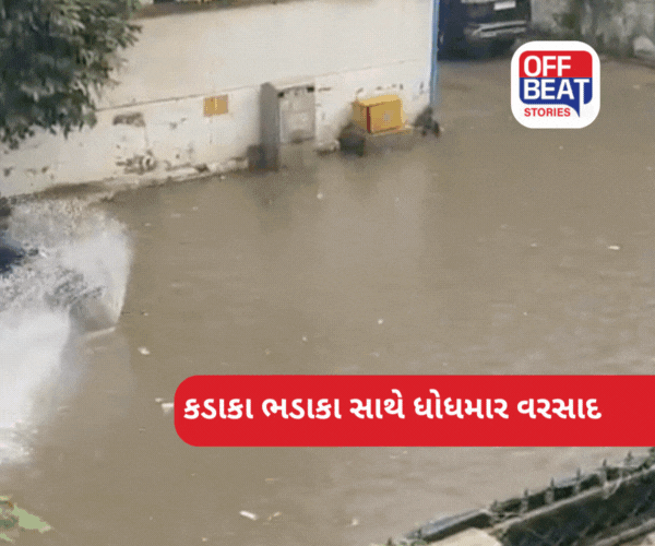 ગુજરાતમાં કડાકા - ભડાકા સાથે વરસાદે કાઢ્યા ભૂક્કા!