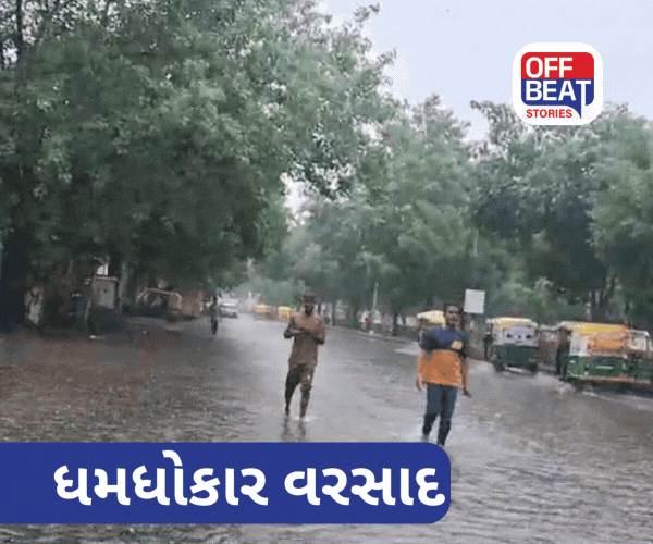 ગુજરાતના 215થી વધુ તાલુકામાં વરસાદ