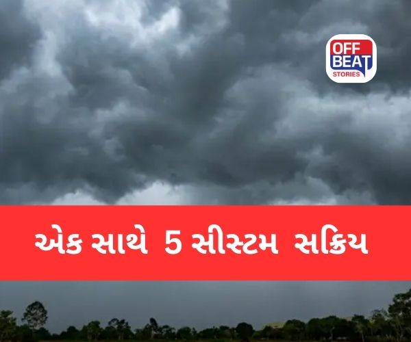 આગામી 24 કલાક સૌરાષ્ટ્રમાં મેઘો મુશળધાર! IMDની આગાહી