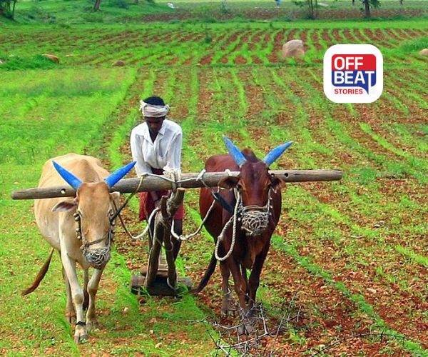 ખેડૂતો 30 ઓગસ્ટ પહેલા ભરી દેજો ફોર્મ નહીંતર થશે અફસોસ