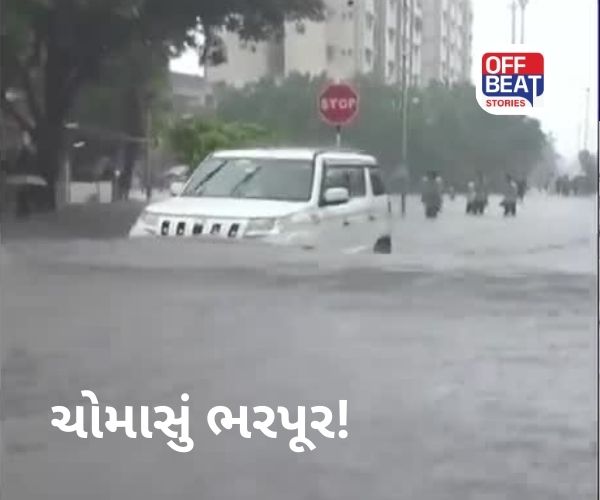 ગુજરાતમાં સરેરાશ વરસાદ 79.06 ટકા નોંધાયો