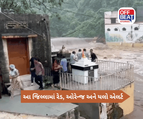 જૂનાગઢમાં ધમધોકાર વરસાદ