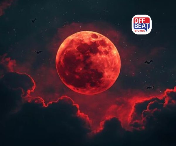 વર્ષનું અંતિમ ચંદ્રગ્રહણ