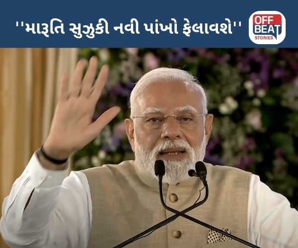 ''મારું માનવું છે કે, EV અનેક સમસ્યાનું નક્કર સમાધાન...''