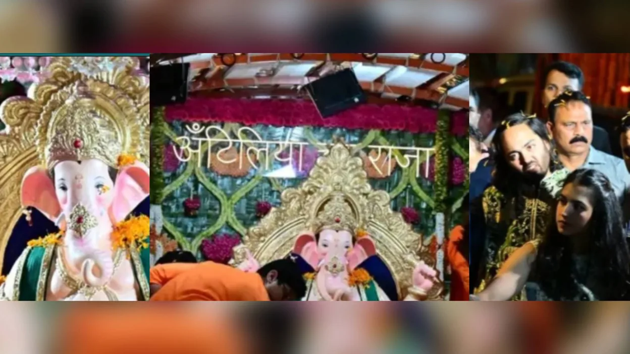 Antilia Cha Raja 2025