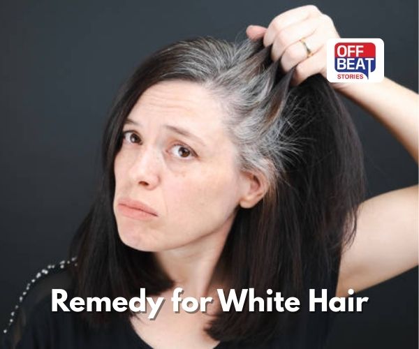 એક એક સફેદ વાળને આ પાંદડા કરશે કાળા!