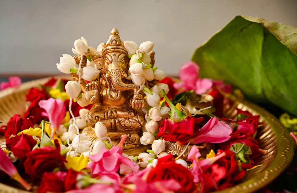 ગણેશોત્સવ દરમિયાન બાપ્પાને આ 5 ફૂલો અવશ્ય અર્પણ કરો