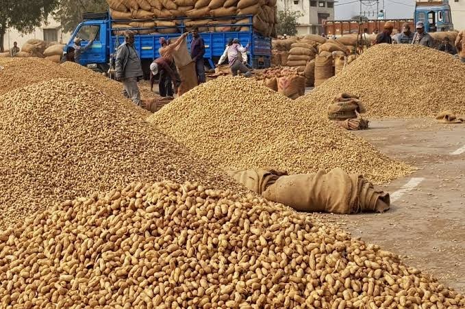 ખેડૂતો માટે રાજ્ય સરકારનો મોટો નિર્ણય