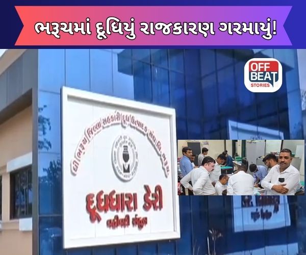 ભરૂચમાં દુધધારા ડેરીમાં ત્રિપાંખિયો જંગ