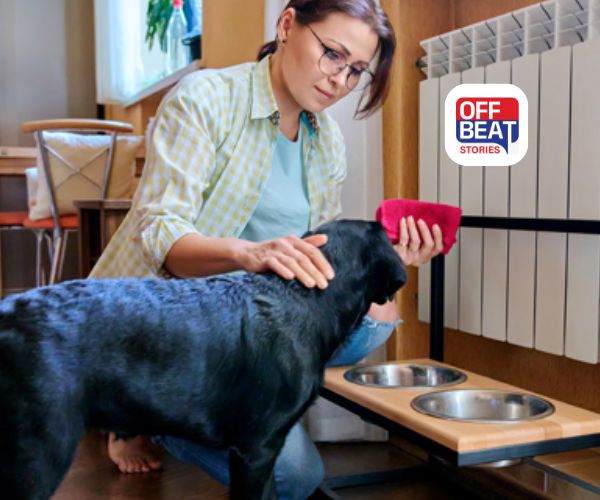 Vastu Tips For Pets: પાલતુ પ્રાણીઓને કયા રાખવા?