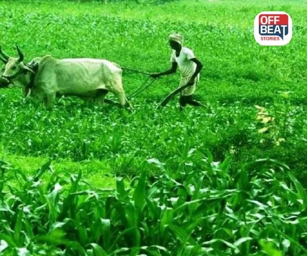 સરકારનો ખેડૂતોને 'ટેકો'!