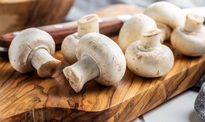 ઔષધીય ગુણોથી ભરપૂર છે મિલ્કી મશરૂમ