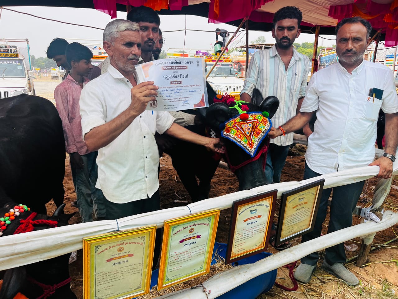 કાંકરેજ અને બન્ની પશુઓએ બનાસકાંઠાનો વટ વધારી દીધો