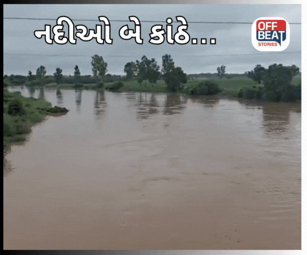 હરિયાણામાં ઘગ્ગર પછી, યમુના પણ ખતરાના નિશાનથી ઉપર