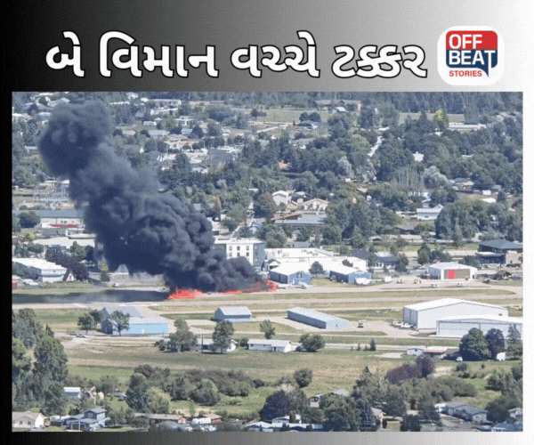 Plane Crash Video : એરપોર્ટ પર 2 વિમાનોની ટક્કરમાં 3 લોકોના મોત
