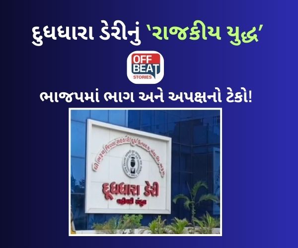 દુધધારા ડેરીની ચૂંટણીમાં જામ્યો ત્રિકોણીયો જંગ!