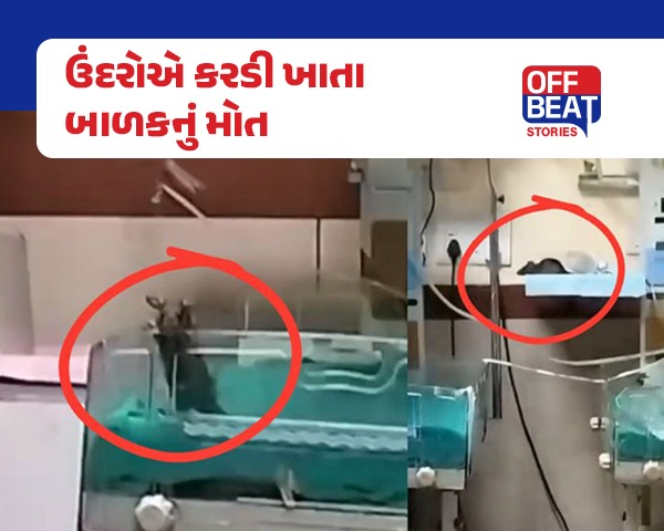 ઇન્દોરની MY હોસ્પિટલમાં ઘોર બેદરકારી