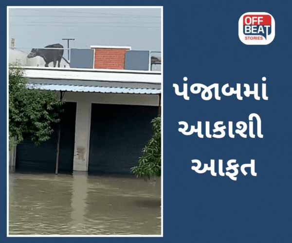 પંજાબમાં પૂરથી ભારે તબાહી, 30 લોકોના મોત