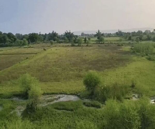 મધ્યપ્રદેશમાં તળાવની ચોરી?