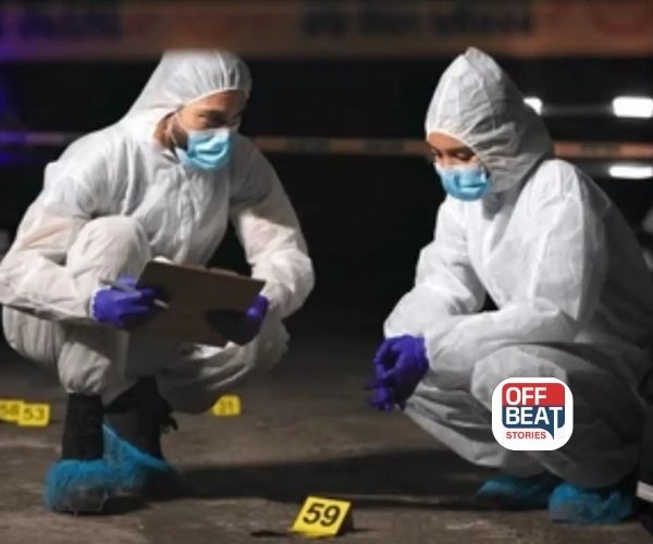 8 અને 12 પાસ  વિદ્યાર્થીઓ માટે નોકરીની સુવર્ણ તક