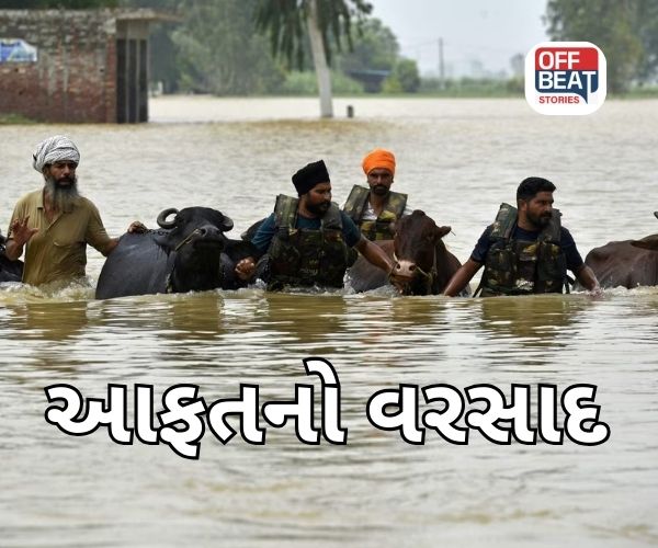 Punjab ના તમામ 23 જિલ્લાઓ પૂરગ્રસ્ત જાહેર