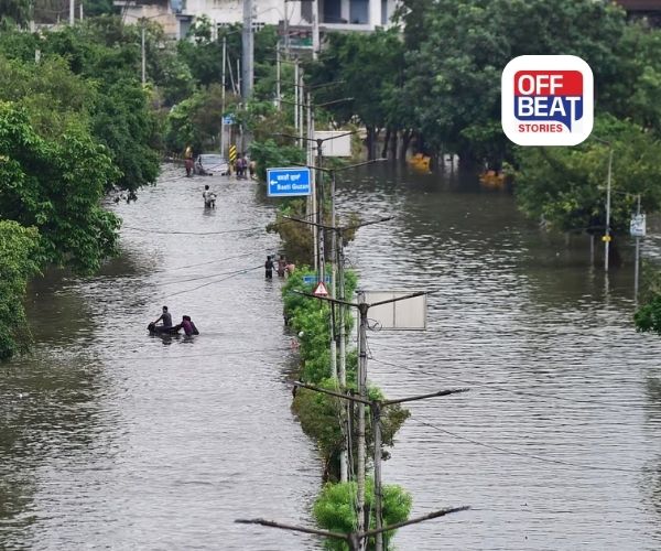 પંજાબથી લઈ દિલ્હી-UP સુધી વરસાદનું કહેર, કારણ શું?