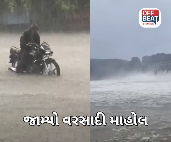 Gujarat Rain Update છેલ્લા 12 કલાકમાં 209 તાલુકામાં વરસાદ