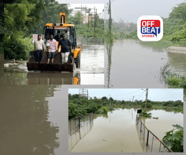 Vadodara :  વિશ્રામિત્રીએ વડોદરાવાસીઓનું વધાર્યું ટેન્શન