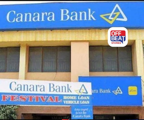 જલ્દી કરો, નહીંતર સુવર્ણ તક ગુમાવશો!