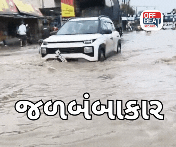 ગુજરાતમાં સાર્વત્રિક મેધ જમાવટ