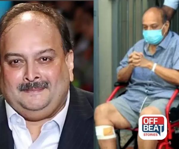 પ્રત્યાર્પણ પછી મેહુલ ચોકસી કઈ જેલમાં રહેશે!