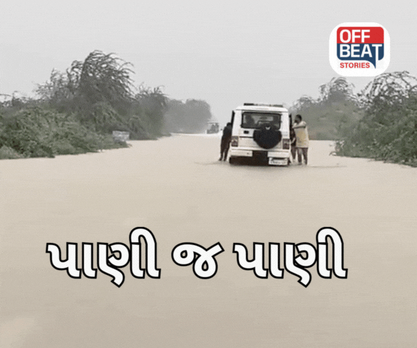 બનાસકાંઠામાં વરસાદે વેર્યો વિનાશ!