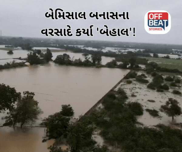 બનાસકાંઠામાં જગતના તાત પર કહેર બનીને વરસ્યો વરસાદ!